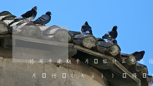 信用卡逾期卡片無效什么意思，信用卡逾期：卡片為何會(huì)變得無效？