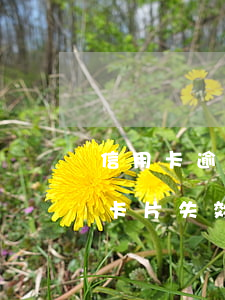 信用卡逾期卡片無效怎么辦，信用卡逾期導致卡片失效，如何解決？