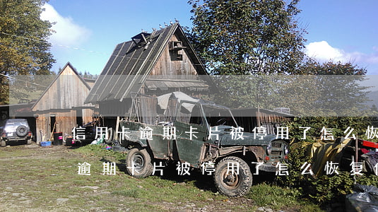 信用卡逾期卡片被停用了怎么恢复-信用卡逾期卡片被停用了怎么恢复使用