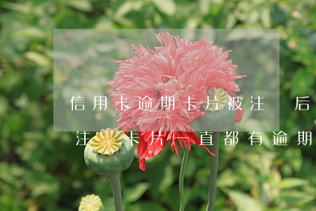 信用卡逾期卡片被注銷后怎么辦 逾期后還清注銷卡片一直都有逾期信息嗎?
