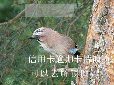 信用卡逾期卡片被锁定(有逾期银行卡被锁定可以去解锁吗?)