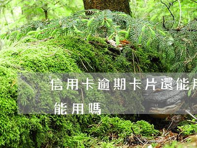信用卡逾期卡片還能用嗎(信用卡逾期卡片還能用嗎)