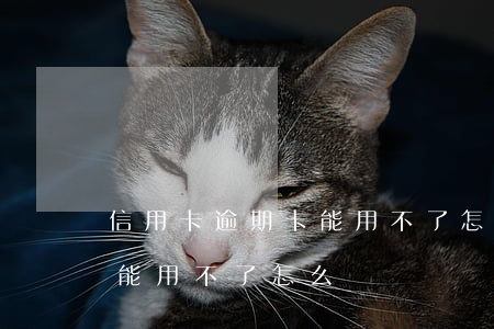 信用卡逾期卡能用不了怎么辦(信用卡逾期卡能用不了怎么辦)