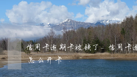 信用卡逾期卡被锁了-信用卡逾期卡被锁了怎么开卡