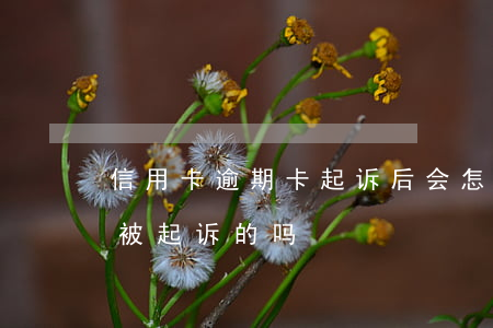 信用卡逾期卡起诉后会怎么样(有信用卡逾期被起诉的吗)