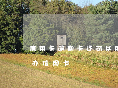 信用卡逾期卡还可以用吗(为什么有逾期还能办信用卡)