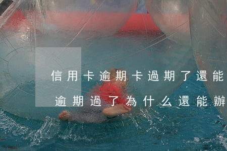 信用卡逾期卡過期了還能換嗎(以前用信用卡逾期過了為什么還能辦信用卡)