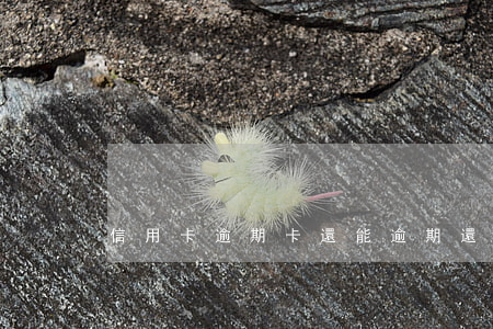 信用卡逾期卡還能 逾期還信用卡會怎樣