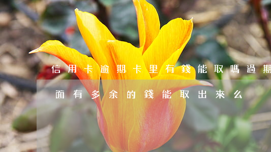 信用卡逾期卡里有錢能取嗎(過期的信用卡里面有多余的錢能取出來么)