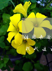 信用卡逾期厂里找我谈话了(信用卡逾期厂里找我谈话了)