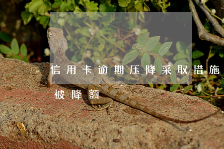 信用卡逾期压降采取措施(信用卡因风险因素被降额)