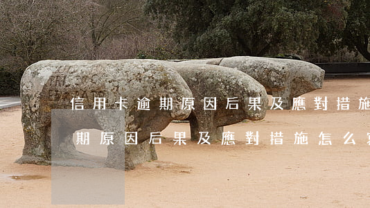 信用卡逾期原因后果及應對措施-信用卡逾期原因后果及應對措施怎么寫