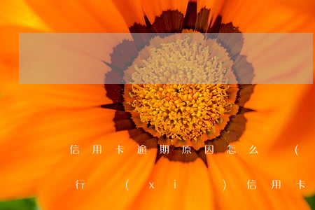 信用卡逾期原因怎么寫(xiě)(怎么給銀行寫(xiě)信用卡逾期說(shuō)明)