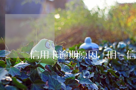 信用卡逾期原因證明-信用卡逾期原因證明