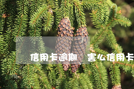 信用卡逾期厲害么 信用卡逾期