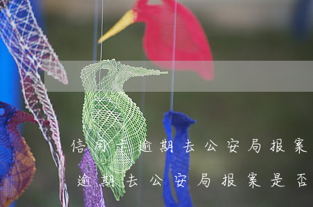 信用卡逾期去公安局报案是否真的-信用卡逾期去公安局报案是否真的有用