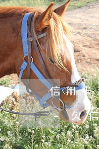 信用卡逾期去協(xié)商讓帶派出所啦-欠信用卡讓我去派出所