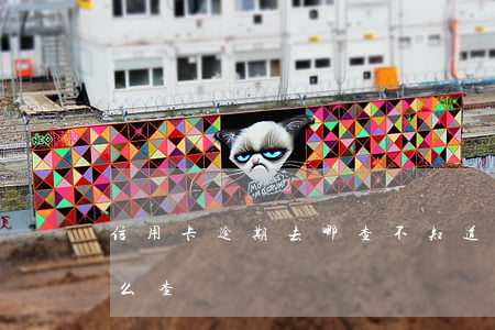 信用卡逾期去哪查 不知道哪个信用卡逾期怎么查