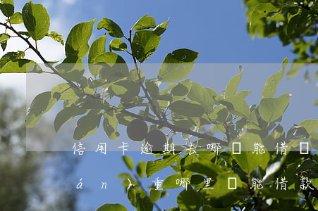 信用卡逾期去哪還能借錢(信用卡逾期嚴(yán)重哪里還能借款)