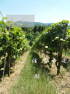 信用卡逾期去哪里問(在哪查信用卡有沒有逾期)