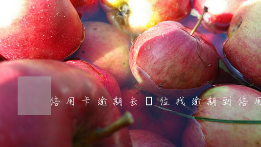 信用卡逾期去單位找(逾期到信用卡中心)