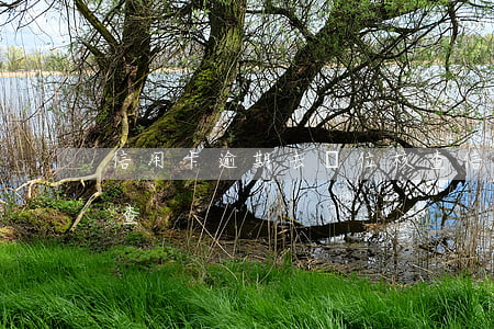 信用卡逾期去單位核查(信用卡逾期去單位核查)