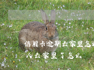 信用卡逾期去家里怎么解決(欠信用卡銀行的人去家里了怎么辦)