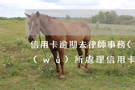 信用卡逾期去律師事務(wù)所 律師事務(wù)所處理信用卡延期