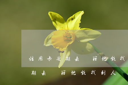 信用卡逾期去戶籍地能找到人嗎-信用卡逾期去戶籍地能找到人嗎知乎