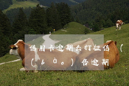 信用卡逾期去打征信報(bào)告(征信報(bào)告 逾期)