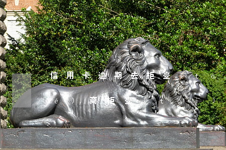信用卡逾期去柜臺(tái)怎么協(xié)商(柜臺(tái)能看到信用卡逾期嘛)