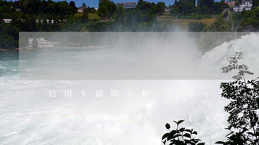 信用卡逾期去柜臺協(xié)商還本金(信用卡逾期去柜臺協(xié)商還本金有用嗎)