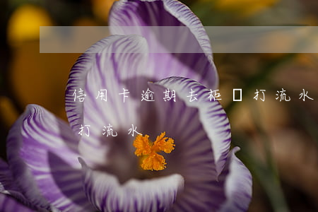 信用卡逾期去柜臺打流水(信用卡逾期去柜臺打流水)