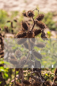 信用卡逾期去柜臺還款需要什么(信用卡逾期去柜臺還款需要什么條件)