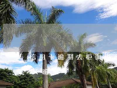 信用卡逾期去柜面协商 跟信用卡协商成功后又逾期了
