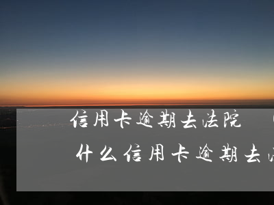 信用卡逾期去法院調(diào)解需要帶什么(信用卡逾期去法院調(diào)解需要帶什么材料)