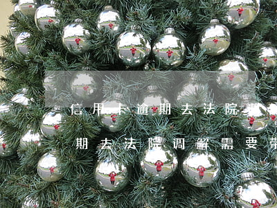 信用卡逾期去法院调解需要带什么(信用卡逾期去法院调解需要带什么材料)