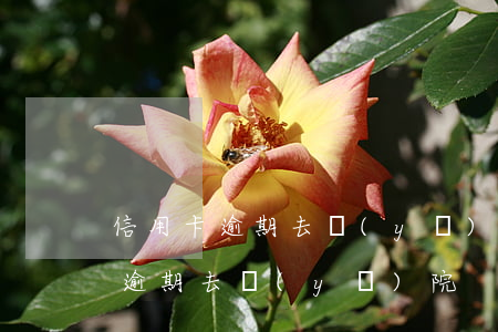 信用卡逾期去醫(yī)院怎么處理（信用卡逾期去醫(yī)院）