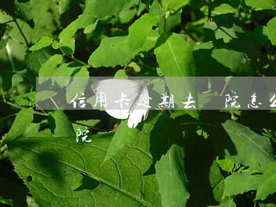 信用卡逾期去醫院怎么處理（信用卡逾期去醫院）