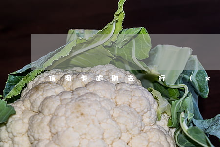 信用卡逾期去銀行協(xié)商有用嗎