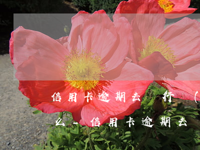 信用卡逾期去銀行協(xié)商要注意什么-信用卡逾期去銀行協(xié)商要注意什么問題
