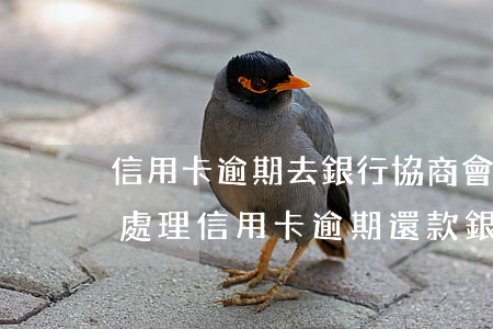 信用卡逾期去銀行協商會抓不-到銀行協商處理信用卡逾期還款銀行有權拘留?