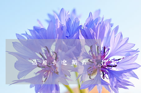 信用卡逾期去銀行取錢(過期銀行卡可以取錢嗎)