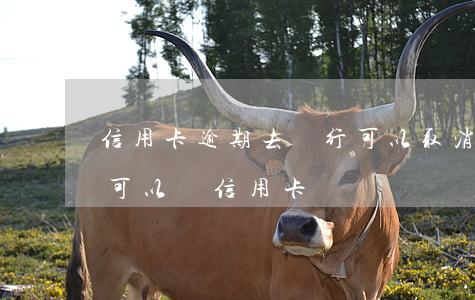 信用卡逾期去銀行可以取消(逾期消除后多久可以辦信用卡)