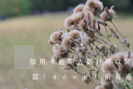 信用卡逾期去銀行可以開(kāi)證明嗎(當(dāng)前有逾期能辦信用卡嗎)