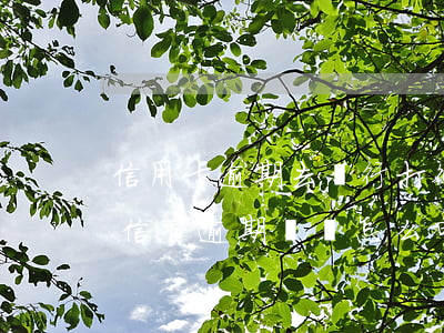 信用卡逾期去銀行打征信報(bào)告(征信有逾期記錄怎么申請(qǐng)信用卡)