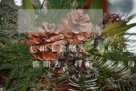 信用卡逾期去銀行柜臺更新身份證-信用卡逾期去銀行柜臺更新身份證可以嗎