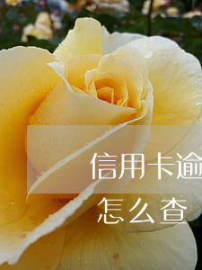 信用卡逾期去銀行查詢(查信用卡有沒有逾期怎么查)
