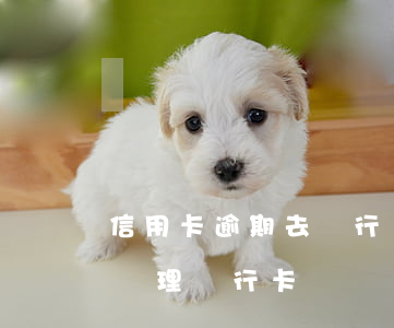 信用卡逾期去銀行補辦銀行卡(信用卡逾期能辦理銀行卡嗎)