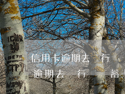 信用卡逾期去銀行辦儲蓄卡可以么-信用卡逾期去銀行辦儲蓄卡可以么